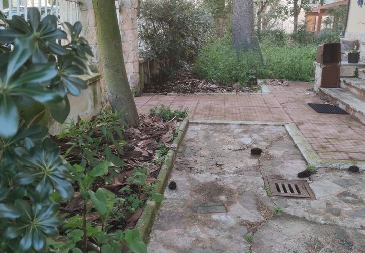 Lejlighed i Jesi, Ancona, Jesi - € 220.000 | Ref: J2489 - foto 1