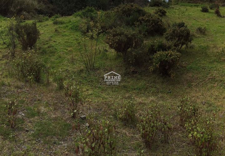 Helårsgrund i Sao Roque, Madeira, Sao Roque - € 80.000 | Ref: #917 - foto 1