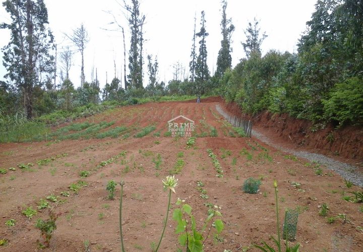 Helårsgrund i Calheta, Madeira, Calheta - € 80.000 | Ref: #972 - foto 1