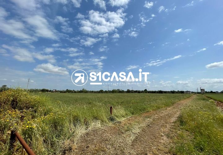 Terra a Galatone, Lecce, Galatone - € 44.000 | Ref: VSL-1346 - foto 1