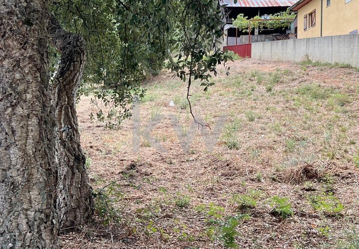 Helårsgrund i Anadia, Aveiro, Anadia - € 59.500 | Ref: KWPT-006004 - foto 1