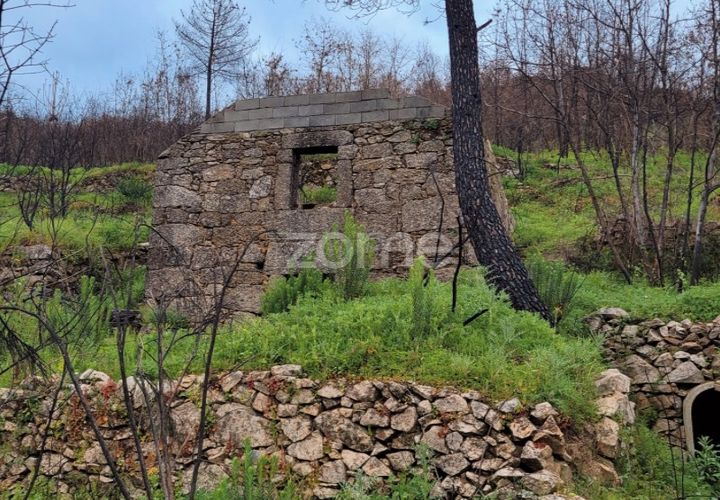 Farm i Cortico e Vila Cha, Guarda, Cortico e Vila Cha - € 43.000 | Ref: ZMPT576714 - foto 1