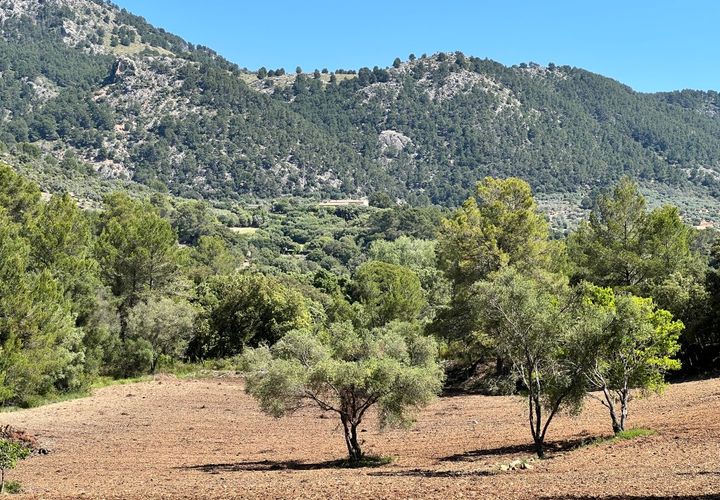 Tomt i Selva, Mallorca, Selva - € 1 100 000 | Ref: 2230 - foto 1