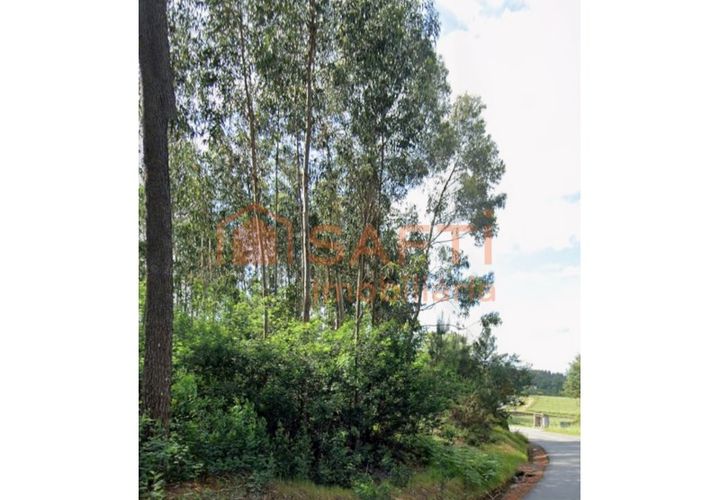 Helårsgrund i Moncao, Viana do Castelo, Moncao - € 80.000 | Ref: SAFTI:006730 - foto 1