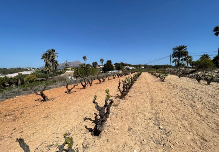 Helårsgrund i Benitachell, Alicante, Benitachell - € 424.000 | Ref: LL2021 - foto 1