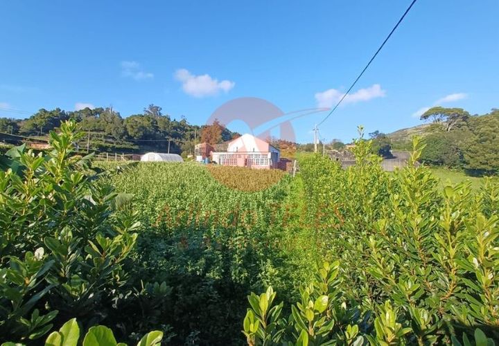 Byhus i Calheta, Sao Jorge, Calheta - € 300.000 | Ref: M978 - foto 1