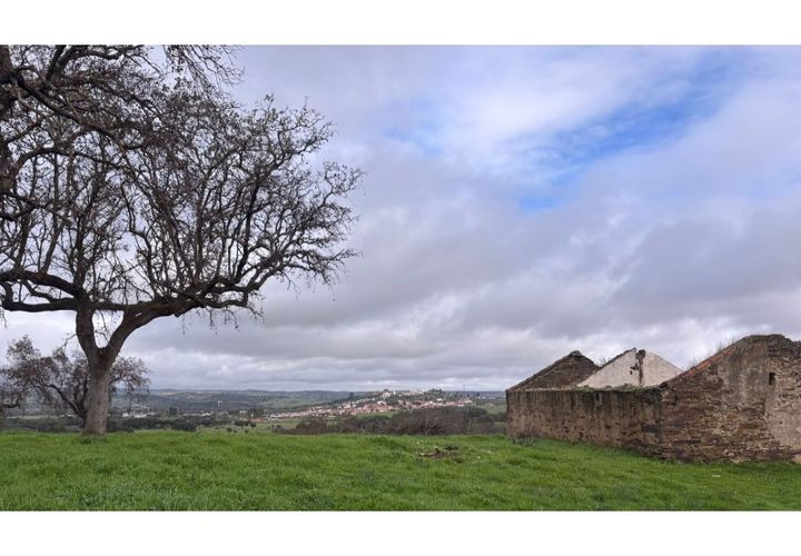 Terra a Alandroal, Evora, Alandroal - € 375.000 | Ref: SÒL_432 - foto 1