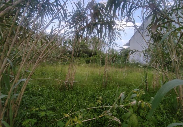 Helårsgrund i Oliveira do Bairro, Aveiro, Oliveira do Bairro - € 28.000 | Ref: AV25/099 - foto 1