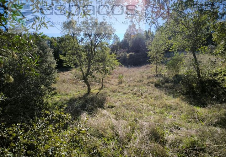 Helårsgrund i Castelo Branco, Castelo Branco, Castelo Branco - € 12.750 | Ref: 5564/EG - foto 1