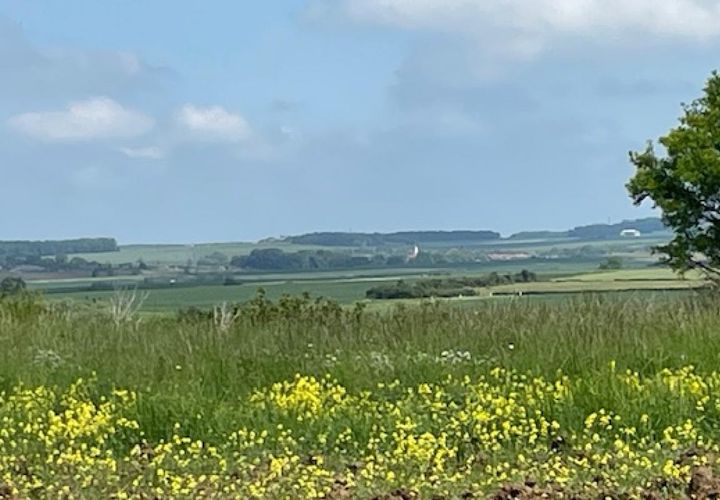Terra a Haraucourt, Meurthe-et-Moselle, Haraucourt - € 78.000 | Ref: V683 - foto 1