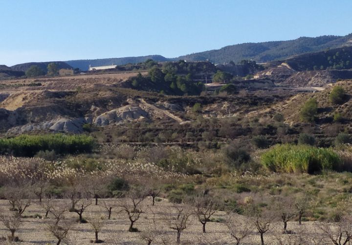 Finca i Orihuela, Alicante, Orihuela - € 150.000 | Ref: D-2047 - foto 1