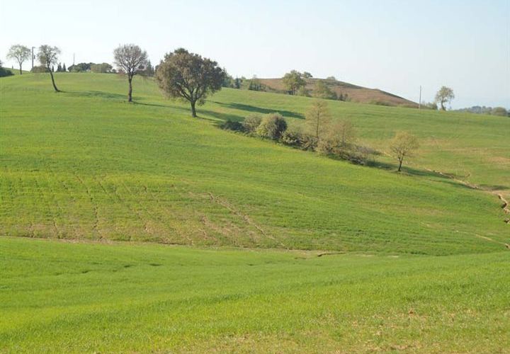 Farm hus i Scansano, Grosseto, Scansano - € 950.000 | Ref: a6380ta800355a - foto 1