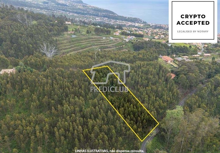 Helårsgrund i Calheta, Madeira, Calheta - € 58.500 | Ref: 11756-BS - foto 1
