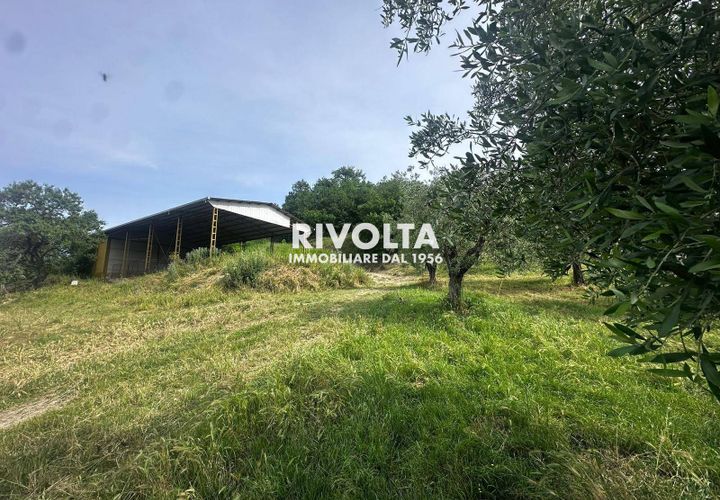 Helårsgrund i Collevecchio, Rieti, Collevecchio - € 330.000 | Ref: AAG Collevecchio terreno - foto 1