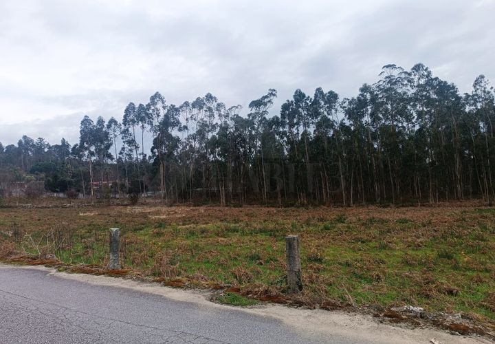 Helårsgrund i Barcelos, Braga, Barcelos - € 135.000 | Ref: MDS4143 - foto 1