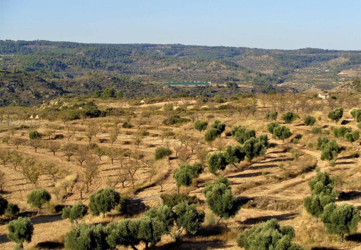 Finca i Maella, Zaragoza, Maella - € 9.500 | Ref: 0678 - foto 1