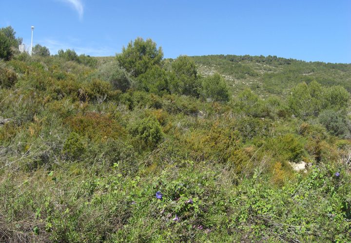 Helårsgrund i Benitachell, Alicante, Benitachell - € 190.000 | Ref: P051 - foto 1