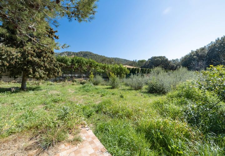 Grundstück in Pollenca, Mallorca, Pollenca - € 325.000 | Ref: POL0543 - Foto 1