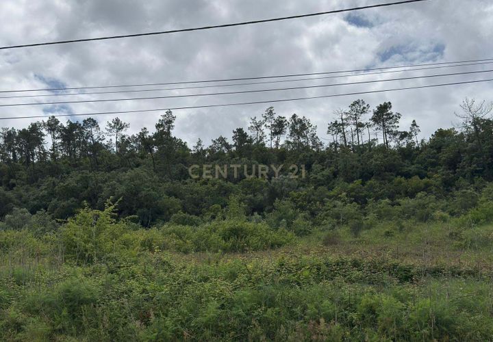 Helårsgrund i Alcobaca, Leiria, Alcobaca - € 50.000 | Ref: 0563-01821 - foto 1