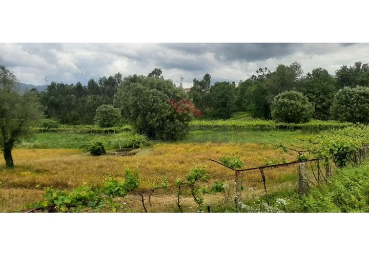 Helårsgrund i Ponte de Lima, Viana do Castelo, Ponte de Lima - € 330.000 | Ref: PTL-1226-RB-0525 - foto 1