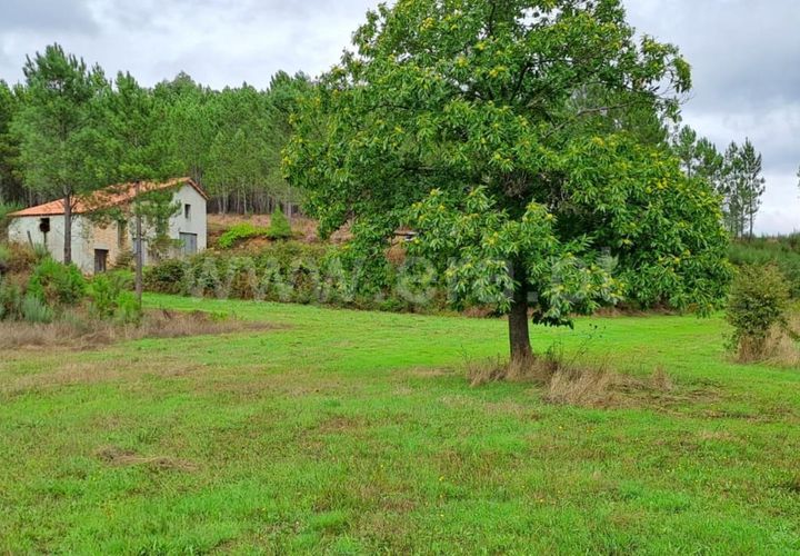 Helårsgrund i Covilha, Castelo Branco, Covilha - € 40.000 | Ref: 394240102 - foto 1