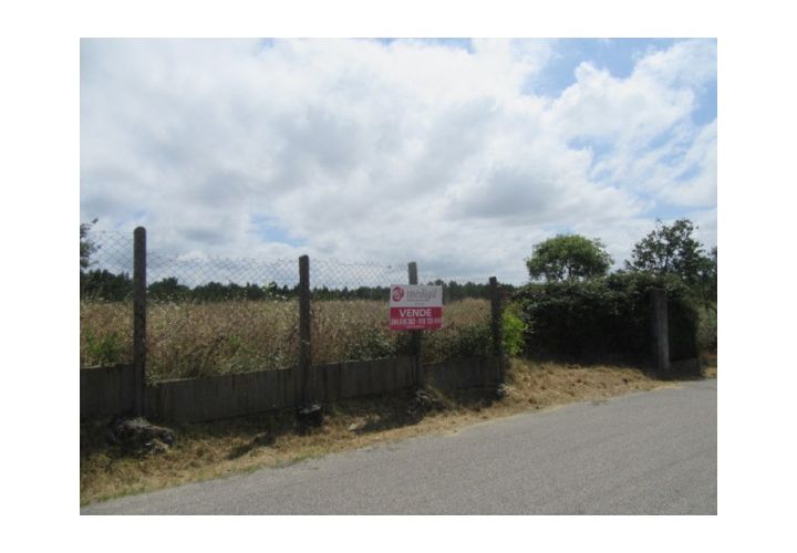Terra a Monte Real, Leiria, Monte Real - € 450.000 | Ref: mg1629 - foto 1