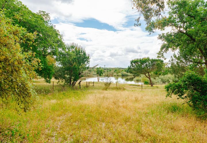 Helårsgrund i Benavente, Santarem, Benavente - € 275.000 | Ref: C0263-01953 - foto 1