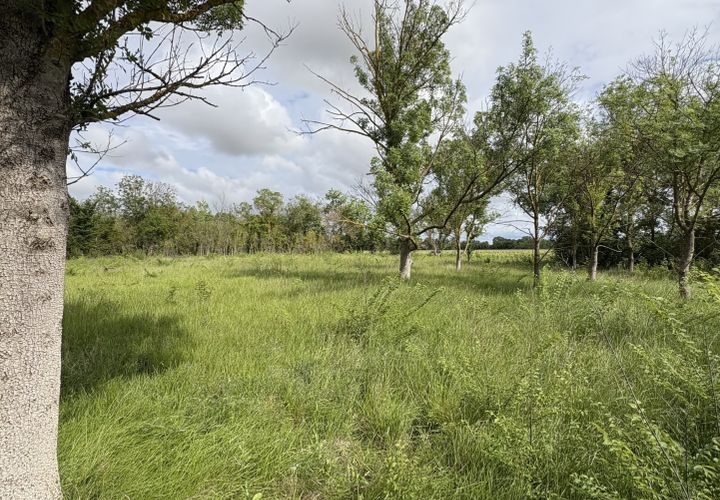 Helårsgrund i Florensac, Herault, Florensac - € 27.800 | Ref: 35572 - foto 1