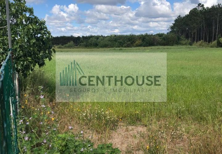 Helårsgrund i Cantanhede, Coimbra, Cantanhede - € 50.000 | Ref: C2513 - foto 1
