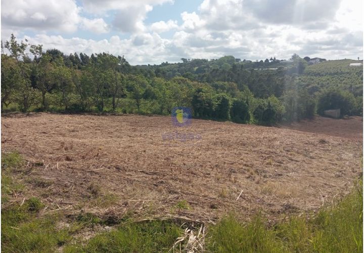 Helårsgrund i Carvalhal, Leiria, Carvalhal - € 45.000 | Ref: CAL-216778 - foto 1