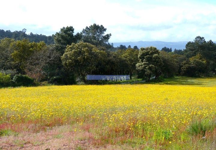 Terra a Celorico da Beira, Guarda, Celorico da Beira - € 375.000 | Ref: 9804_Q - foto 1