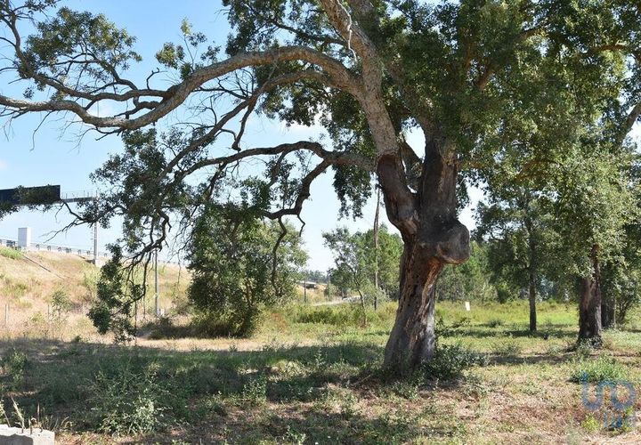 Terra a Leiria, Leiria, Leiria - € 60.000 | Ref: 110826 - foto 1