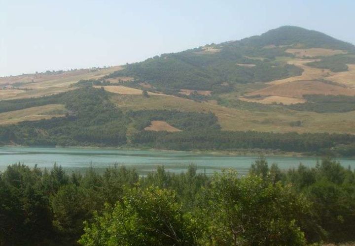 Terra a Guardialfiera, Campobasso, Guardialfiera - € 220.000 | Ref: 1957-488230 - foto 1