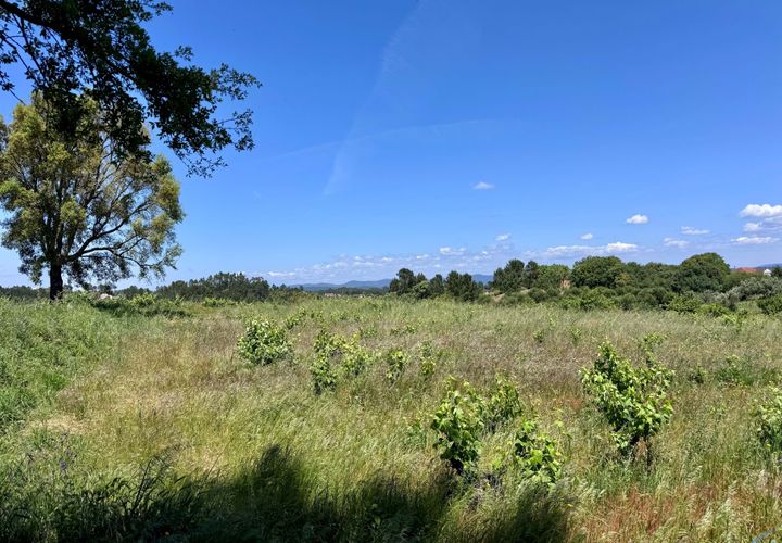 Helårsgrund i Tomar, Santarem, Tomar - € 55.000 | Ref: TL017 - foto 1
