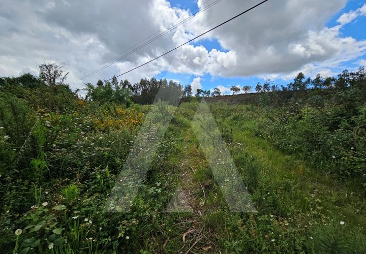 Terra a Barro, Aveiro, Barro - € 150.000 | Ref: 1012278/25 GL - foto 1