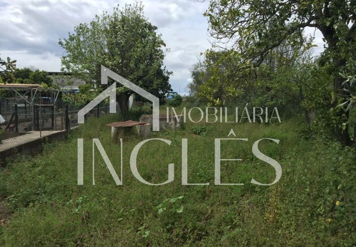 Villa i Golega, Santarem, Golega - € 82.500 | Ref: 761 - foto 1