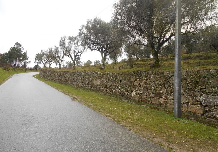 Helårsgrund i Mangualde, Viseu, Mangualde - € 38.000 | Ref: Q17 - foto 1