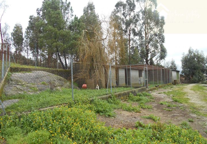 Helårsgrund i Mangualde, Viseu, Mangualde - € 22.000 | Ref: Q19 - foto 1