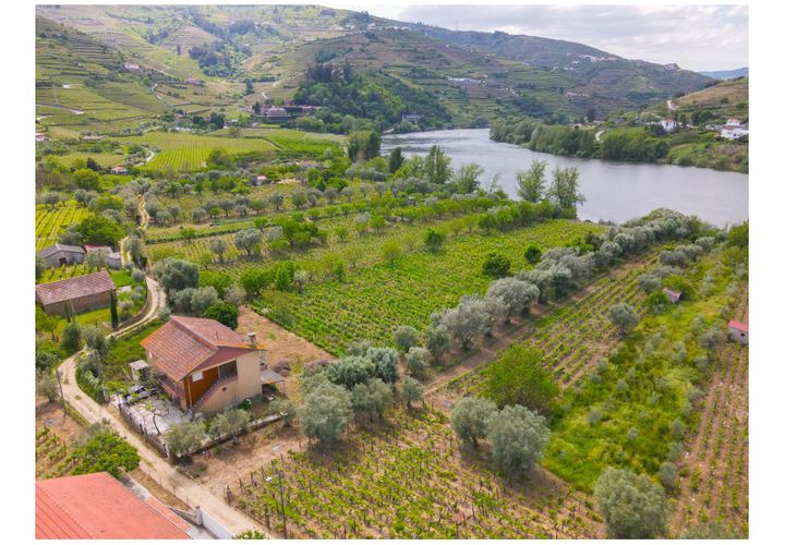 Helårsgrund i Lamego, Viseu, Lamego - € 800.000 | Ref: LUX/00646 - foto 1