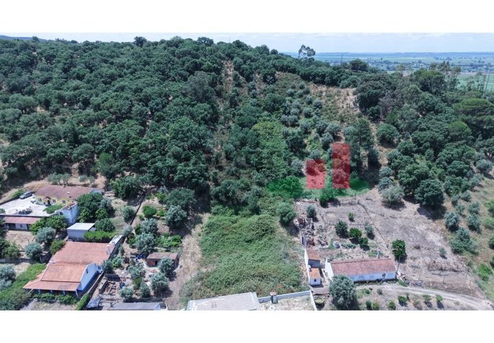 Terra a Chamusca, Santarem, Chamusca - € 60.580 | Ref: 145.25 - foto 1