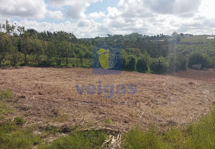 Helårsgrund i Bombarral, Leiria, Bombarral - € 40.000 | Ref: CAL-216778 - foto 1