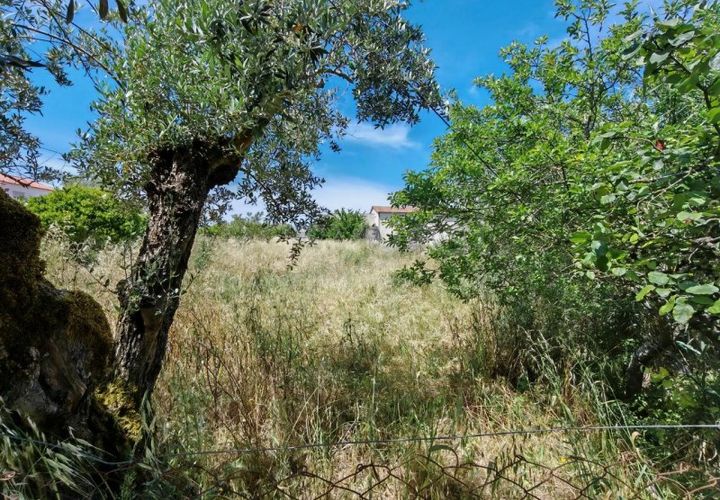Helårsgrund i Tomar, Santarem, Tomar - € 32.000 | Ref: TM97367 - foto 1
