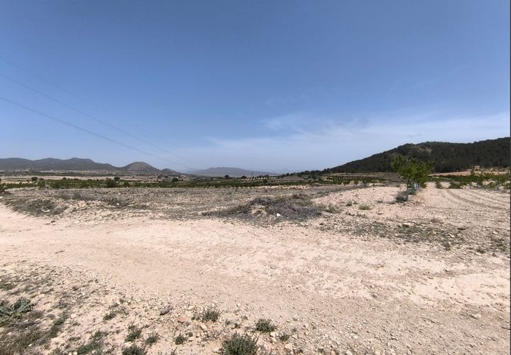 Terra a Monovar, Alicante, Monovar - € 46.900 | Ref: 70046 - foto 1
