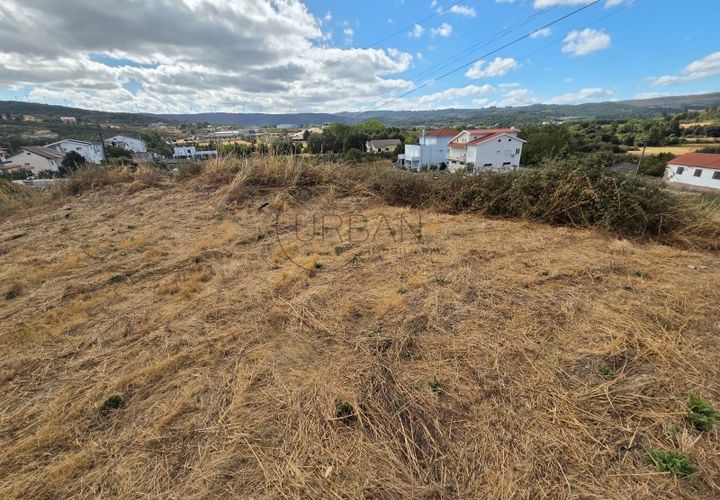 Terra a Moimenta da Beira, Viseu, Moimenta da Beira - € 55.000 | Ref: 0139 - foto 1
