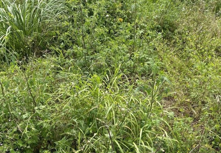 Helårsgrund i Rio Maior, Santarem, Rio Maior - € 52.500 | Ref: SF-SAFTI:006786 - foto 1