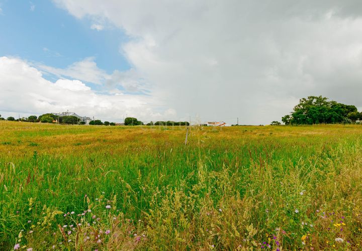 Helårsgrund i Coruche, Santarem, Coruche - € 200.000 | Ref: C0263-02013 - foto 1