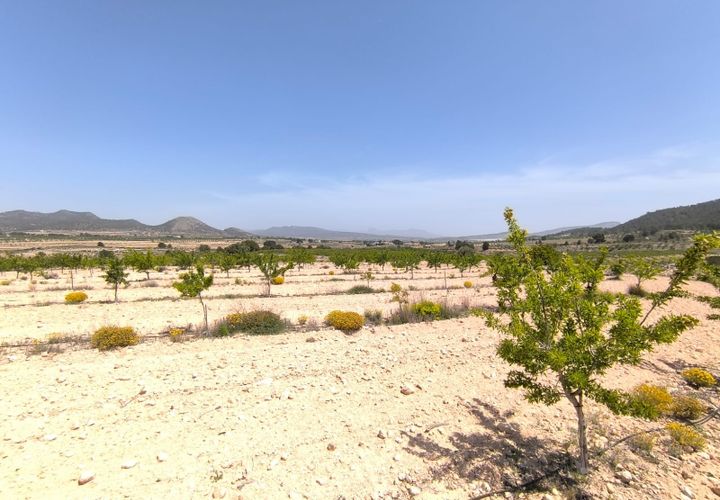 Helårsgrund i Monovar, Alicante, Monovar - € 44.900 | Ref: 70047 - foto 1