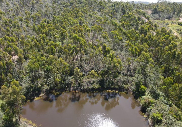 Helårsgrund i Monchique, Faro, Monchique - € 75.000 | Ref: C0369-00752 - foto 1