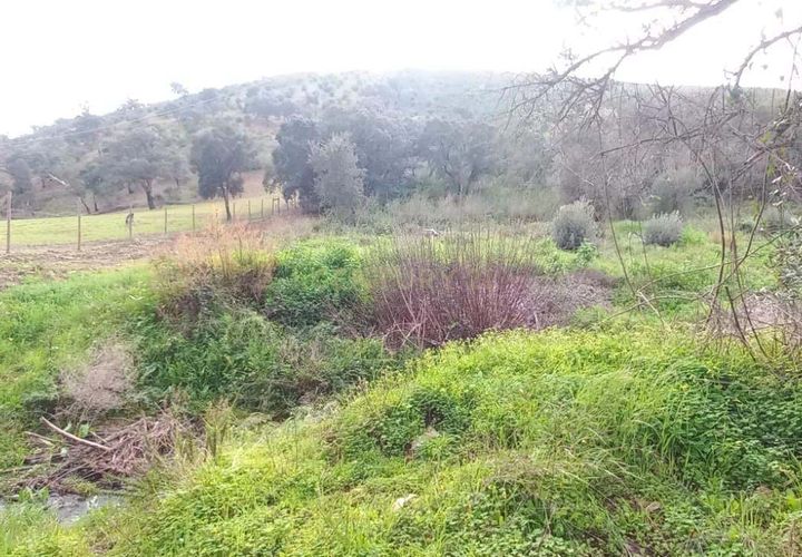 Helårsgrund i Monchique, Faro, Monchique - € 30.000 | Ref: C0369-00753 - foto 1