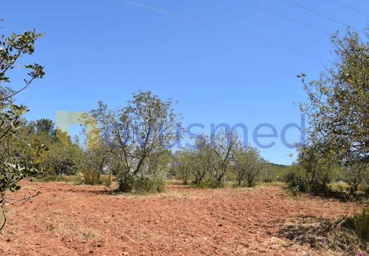 Helårsgrund i Paderne, Faro, Paderne - € 48.000 | Ref: TE-05 (PR-079) - foto 1